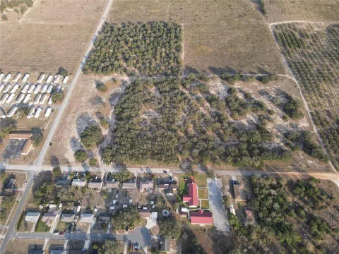 LEWIS GRIFFIN ROAD