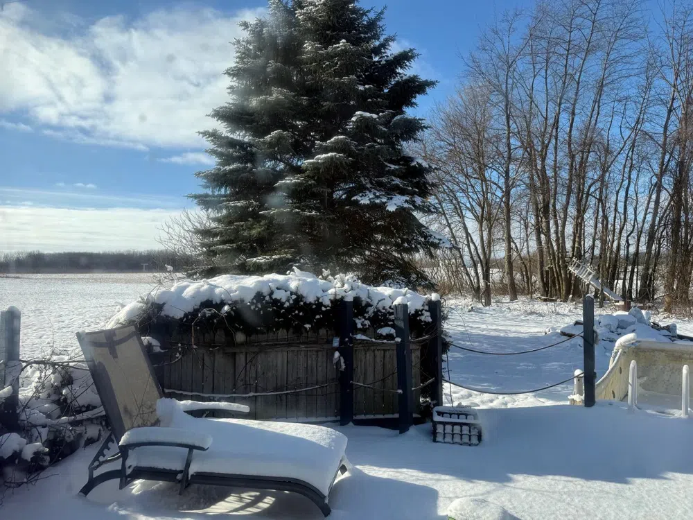 65 Newaygo Road Casnovia Township, MI 49318