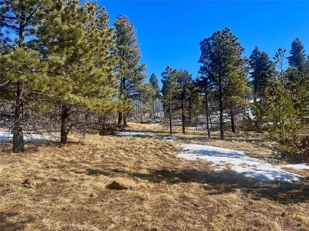 277 Forbes Park Road