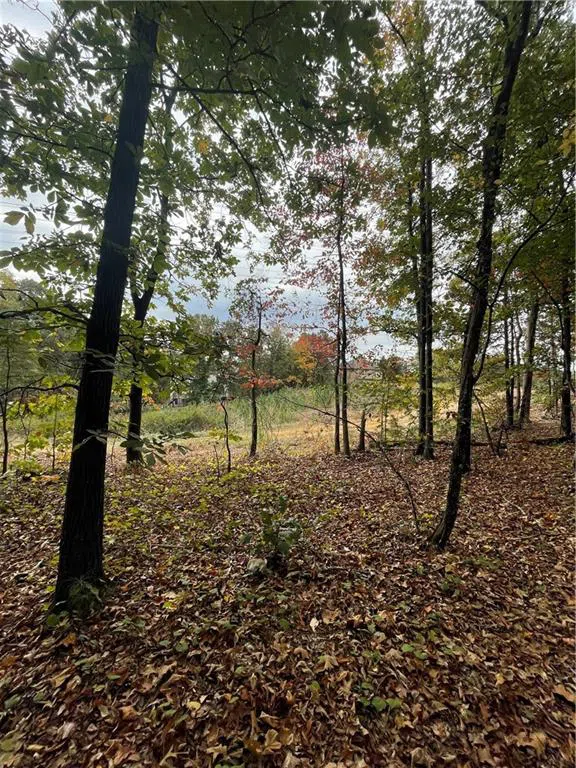 41 Foxfire Lane Cartersville, GA 30120