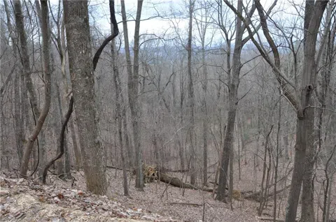 3012 Wild Turkey Bluff