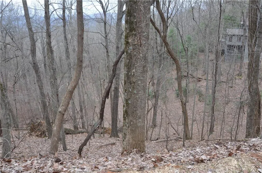 3012 Wild Turkey Bluff Big Canoe, GA 30143