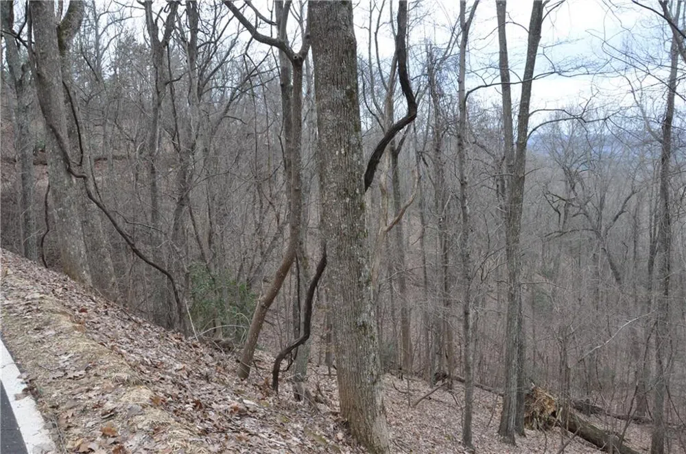3012 Wild Turkey Bluff Big Canoe, GA 30143