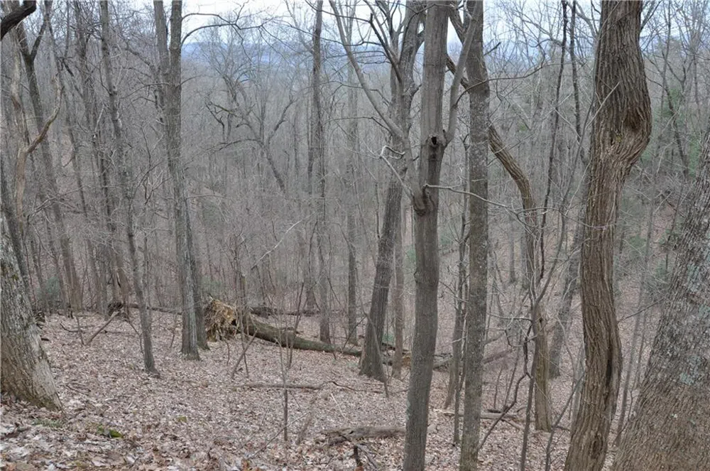 3012 Wild Turkey Bluff Big Canoe, GA 30143