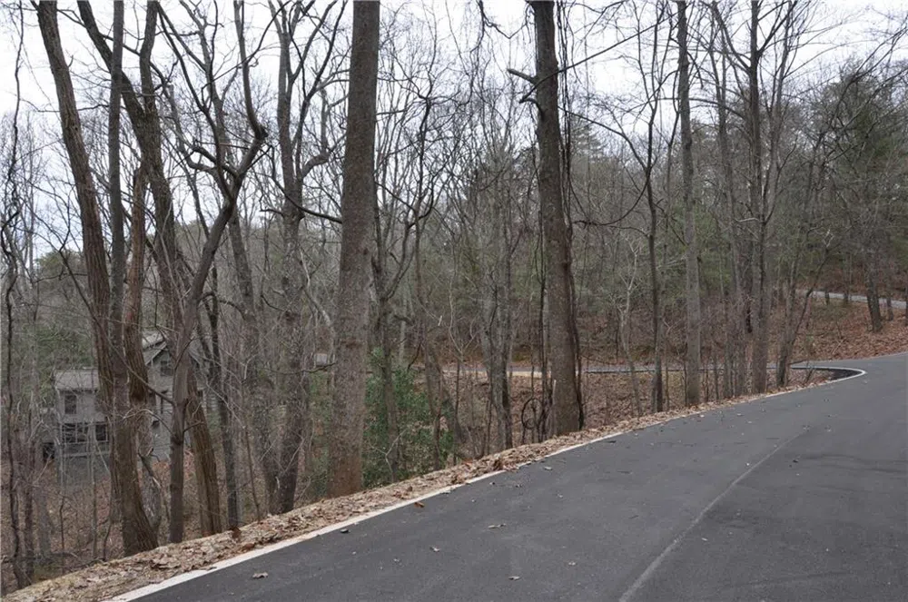 3012 Wild Turkey Bluff Big Canoe, GA 30143