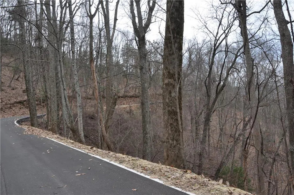 3012 Wild Turkey Bluff Big Canoe, GA 30143