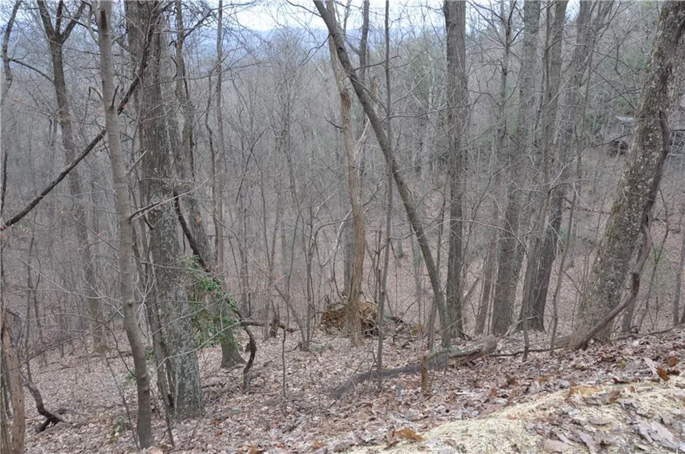 3012 Wild Turkey Bluff Big Canoe, GA 30143