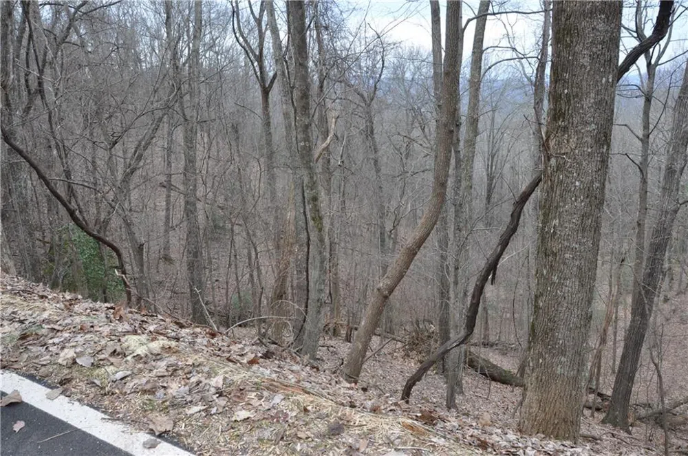 3012 Wild Turkey Bluff Big Canoe, GA 30143