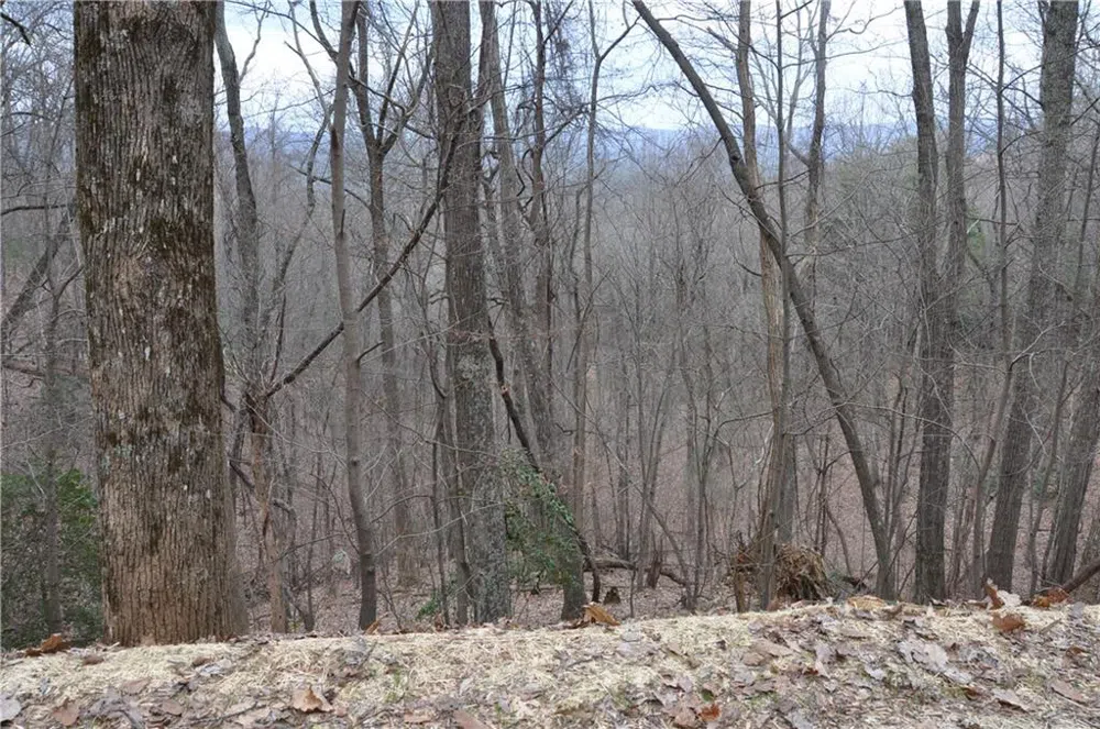 3012 Wild Turkey Bluff Big Canoe, GA 30143