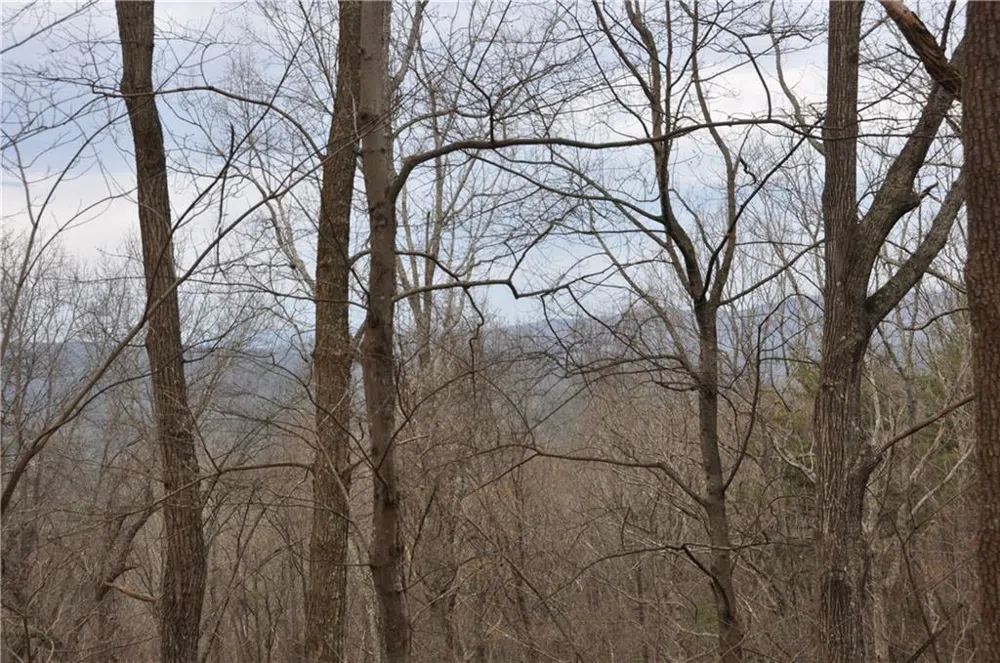 3012 Wild Turkey Bluff Big Canoe, GA 30143