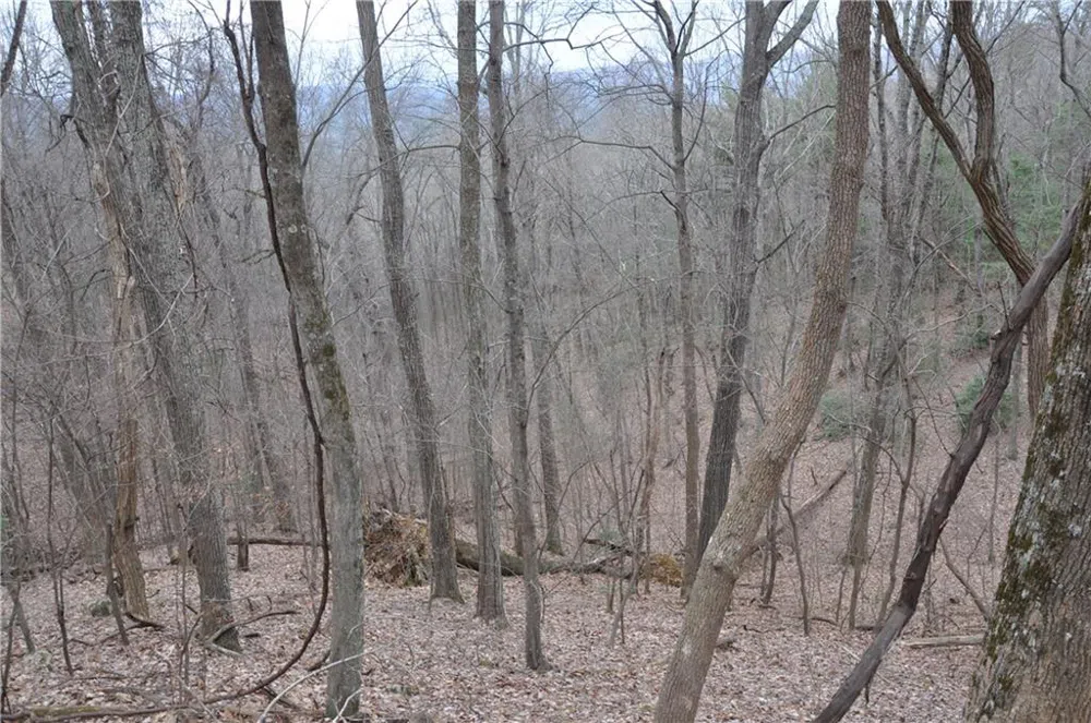 3012 Wild Turkey Bluff Big Canoe, GA 30143