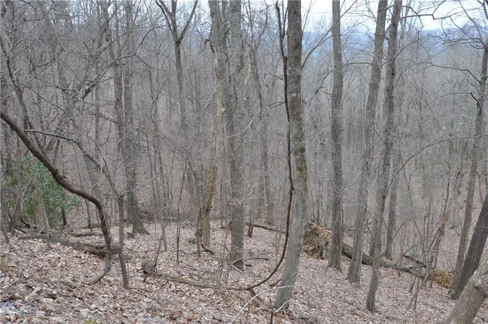 3012 Wild Turkey Bluff Big Canoe, GA 30143