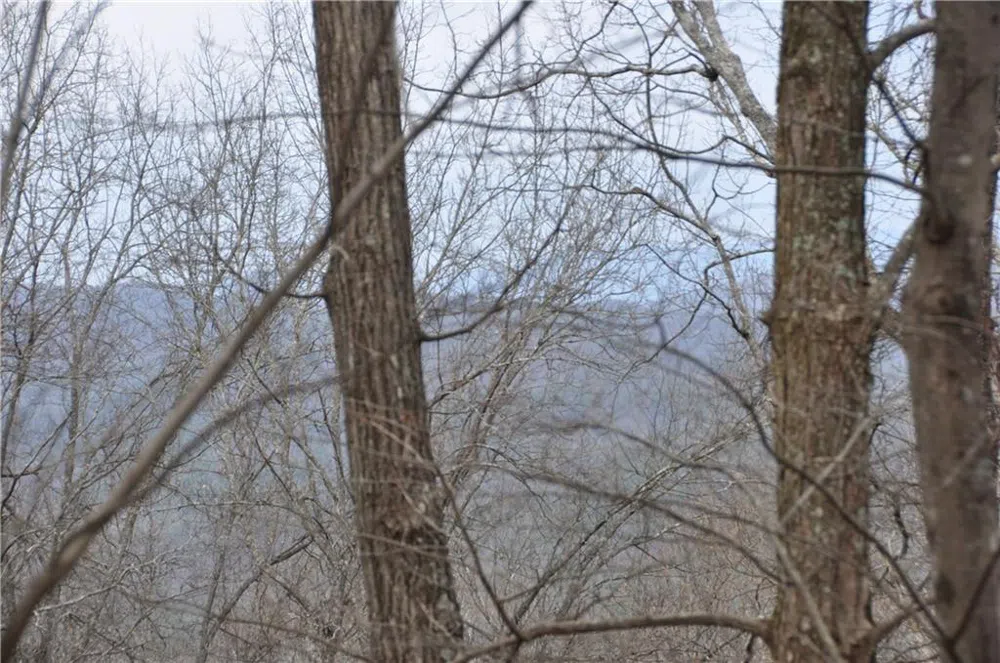 3012 Wild Turkey Bluff Big Canoe, GA 30143
