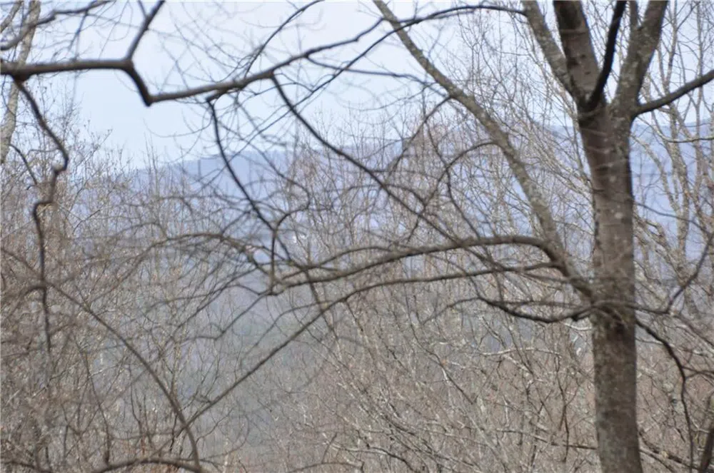 3012 Wild Turkey Bluff Big Canoe, GA 30143