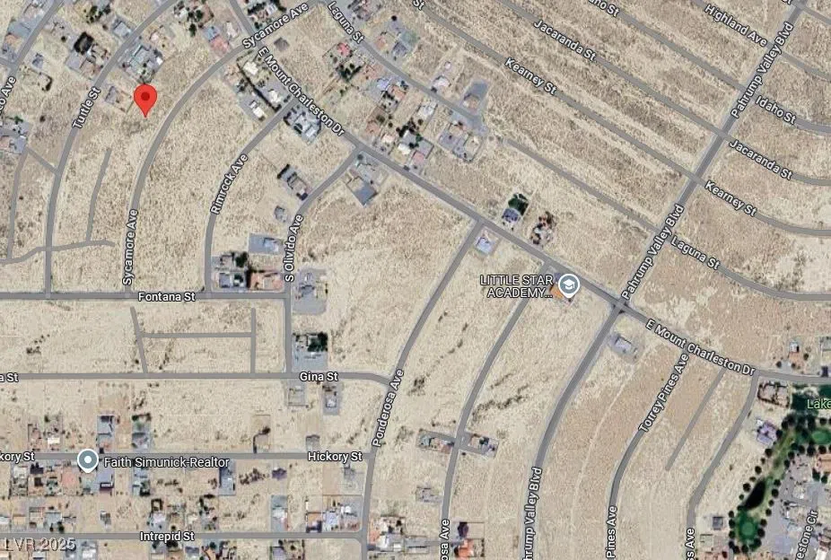 2510 S Sycamore Avenue Pahrump, NV 89048
