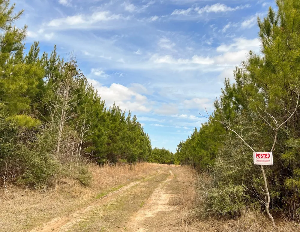 6 Fm 1746 Spurger, TX 77660