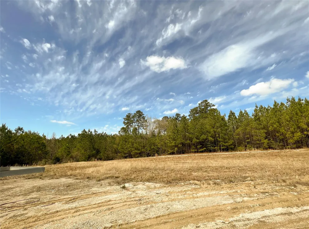 6 Fm 1746 Spurger, TX 77660
