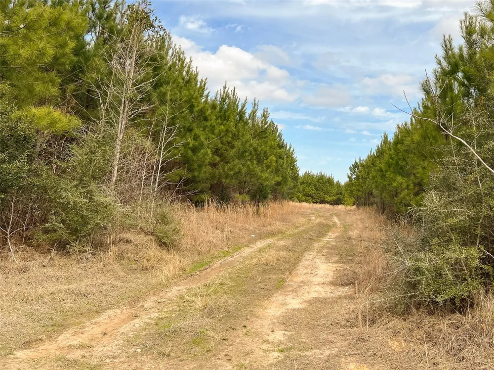 7 Fm 1746 Spurger, TX 77660