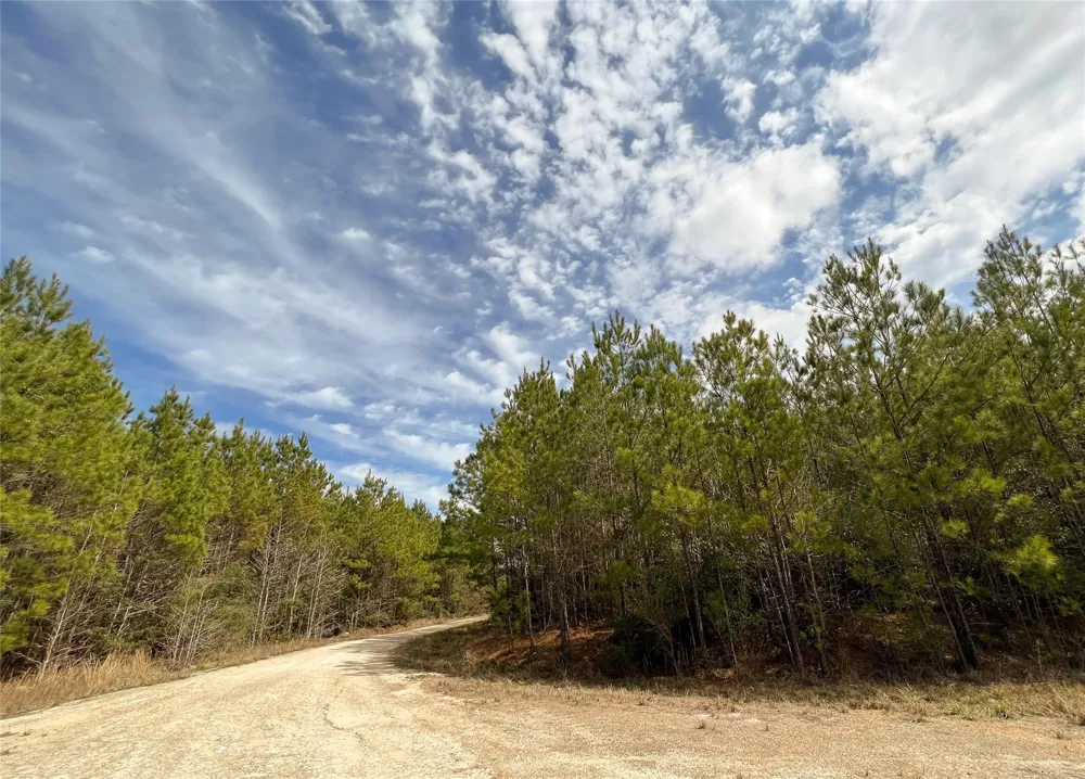 7 Fm 1746 Spurger, TX 77660