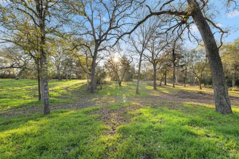 1038 County Road 207 Road