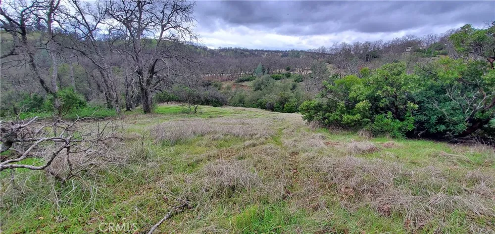6960 Cougar Drive Corning, CA 96021