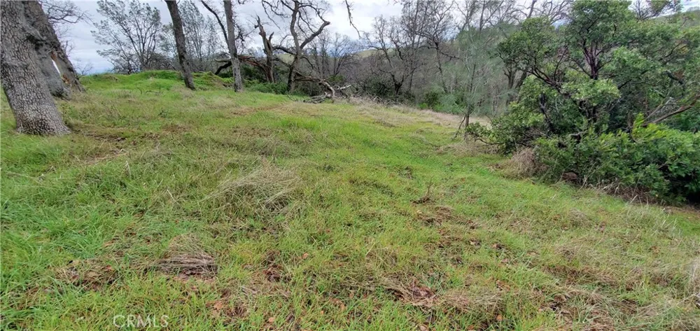 6960 Cougar Drive Corning, CA 96021