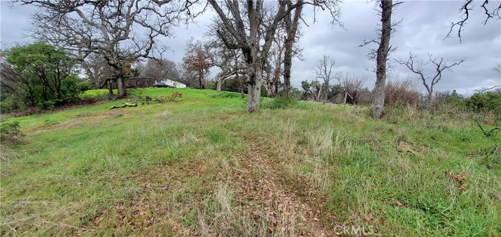 6960 Cougar Drive Corning, CA 96021