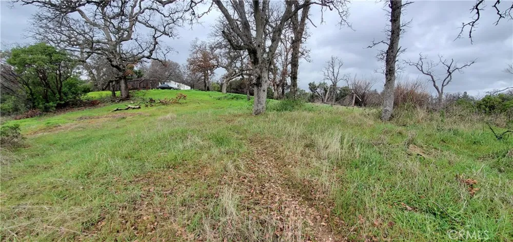 6960 Cougar Drive Corning, CA 96021