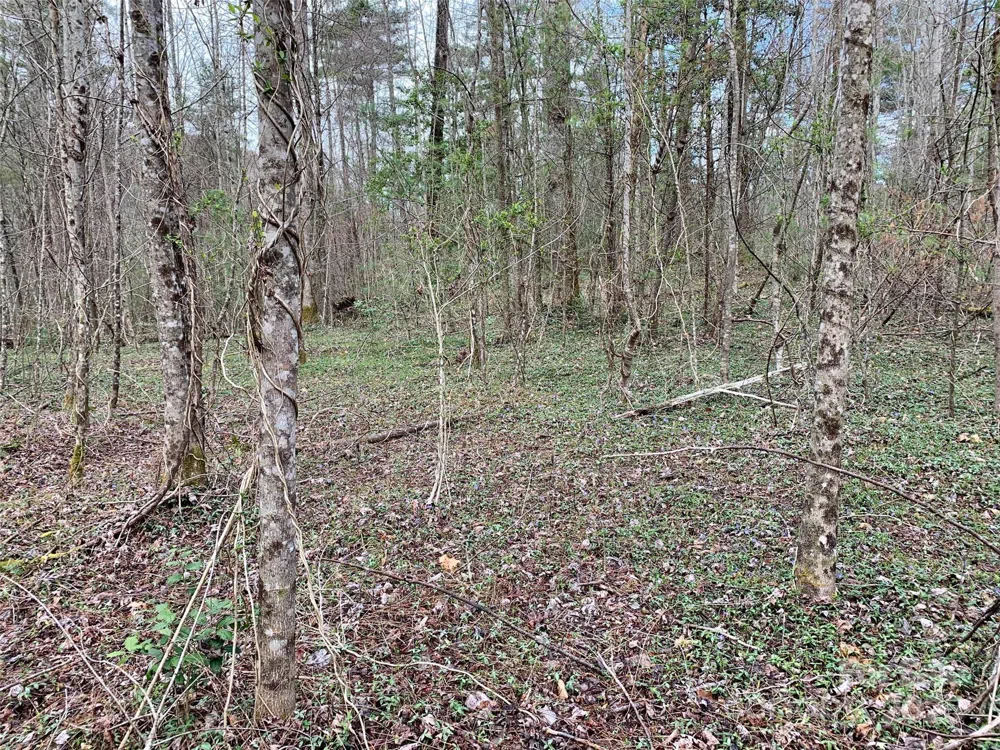 Lot 64 Peppervine Circle Rosman, NC 28772