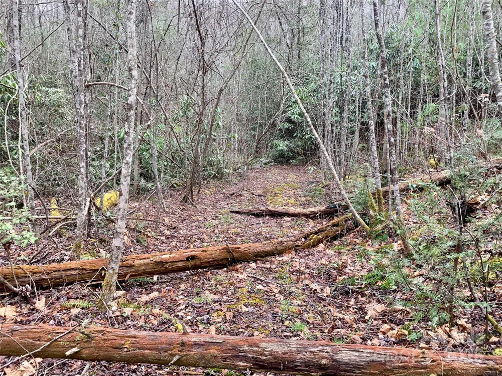 Lot 64 Peppervine Circle Rosman, NC 28772