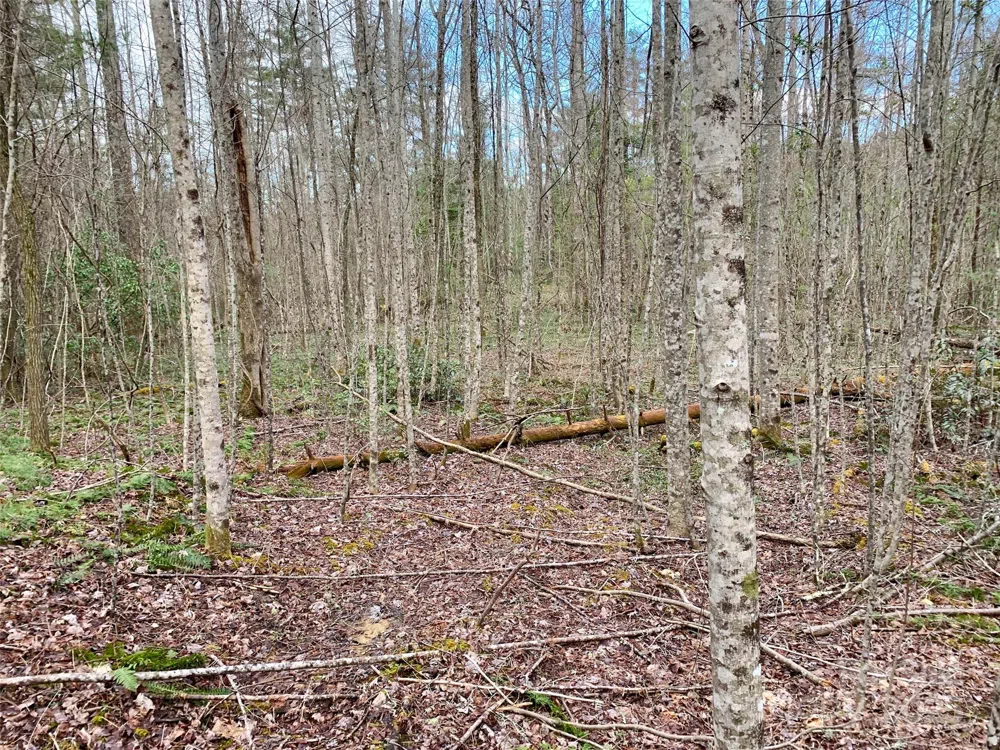 Lot 64 Peppervine Circle Rosman, NC 28772