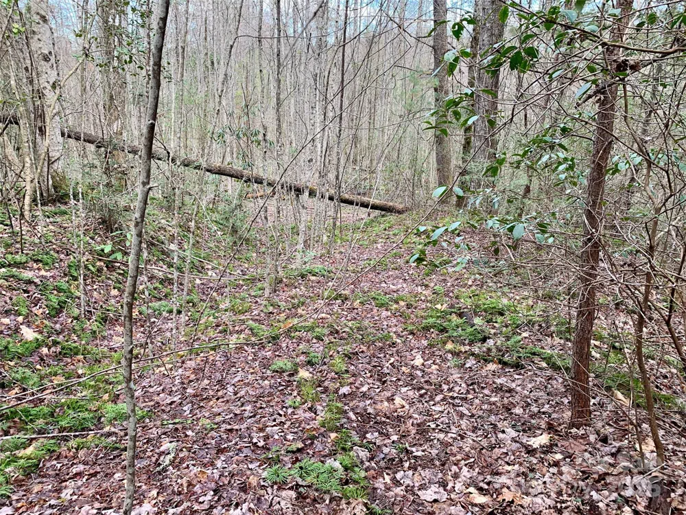 Lot 64 Peppervine Circle Rosman, NC 28772