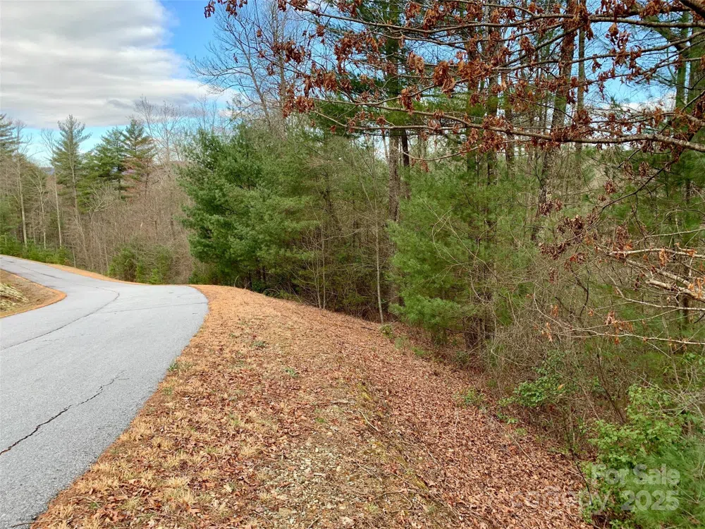 Lot 64 Peppervine Circle Rosman, NC 28772