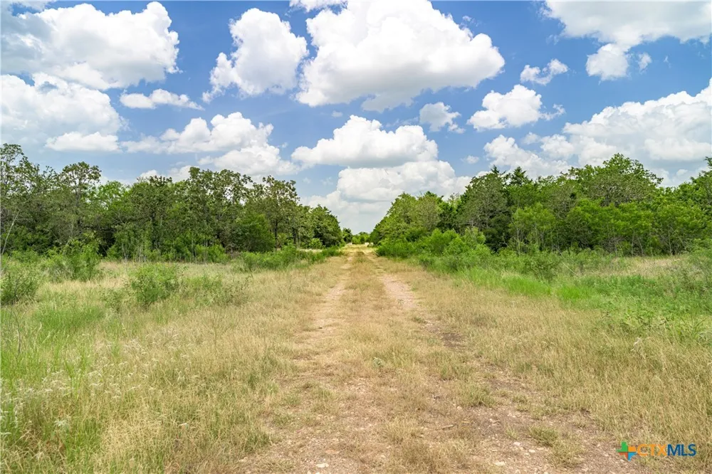 5850 Brown Road Flatonia, TX 78941