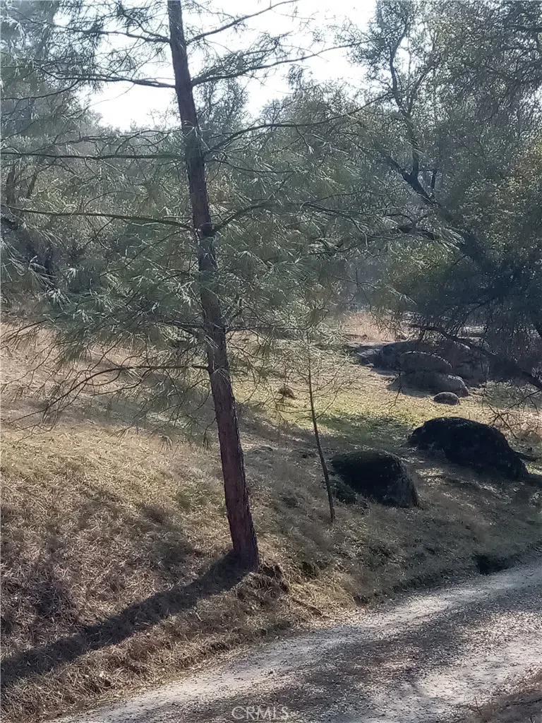 Deep Forest Drive Coarsegold, CA 93614
