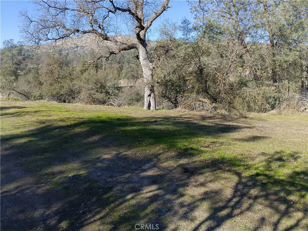 Deep Forest Drive Coarsegold, CA 93614