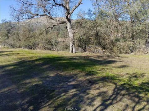 Deep Forest Drive