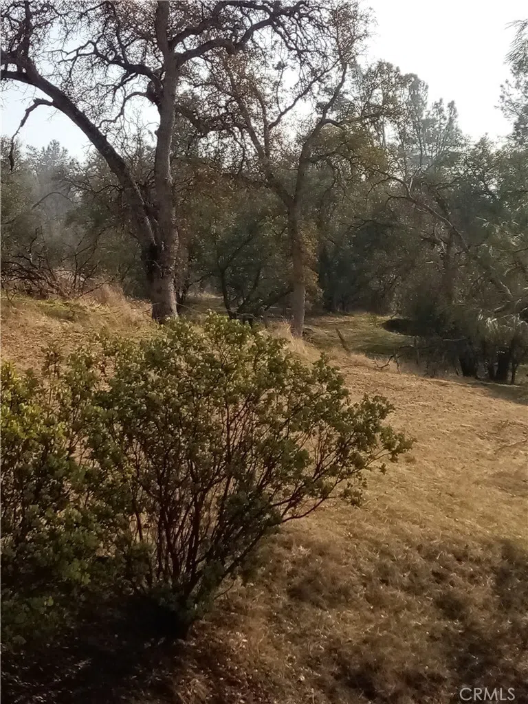 Deep Forest Drive Coarsegold, CA 93614