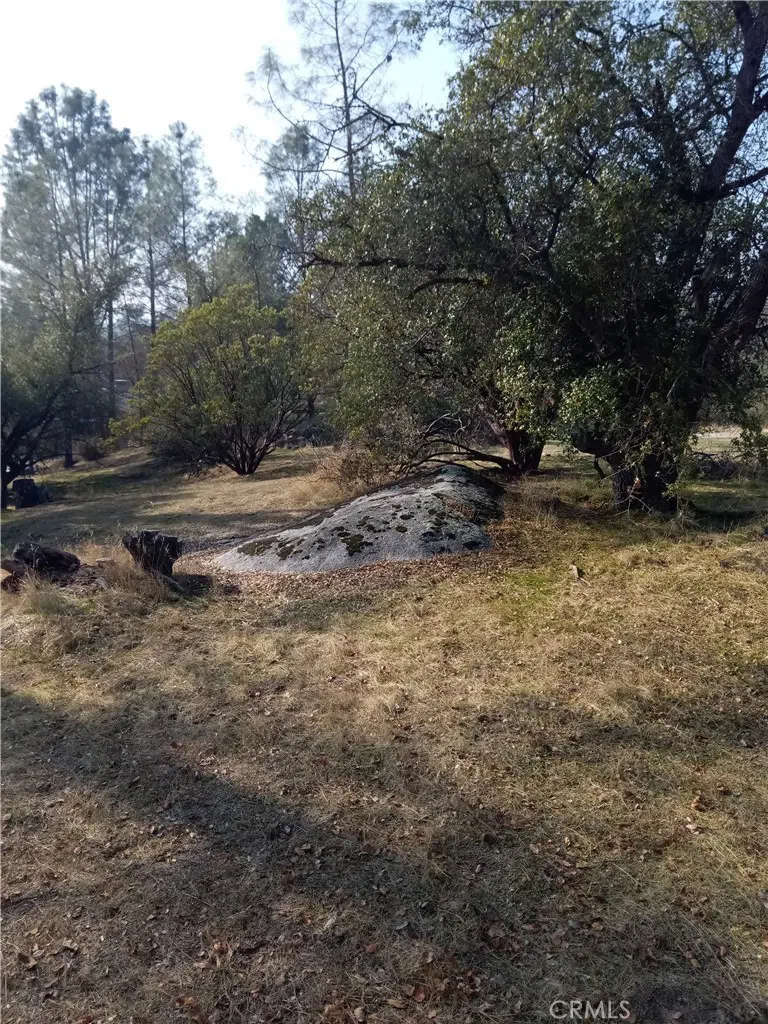 Deep Forest Drive Coarsegold, CA 93614
