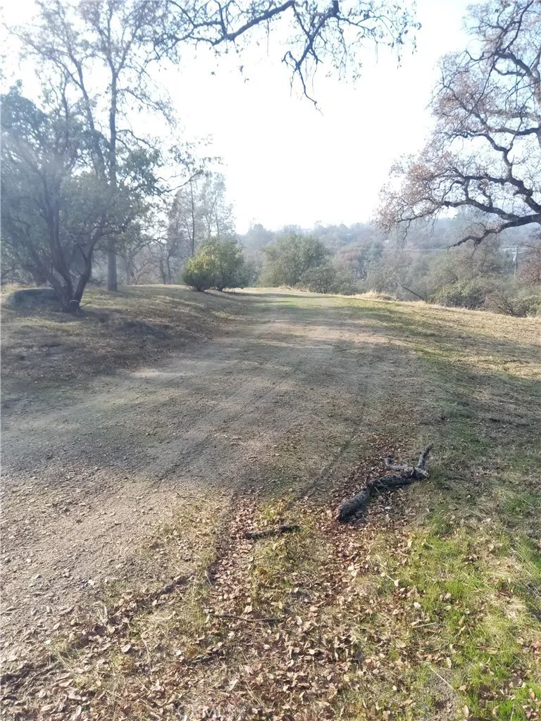 Deep Forest Drive Coarsegold, CA 93614