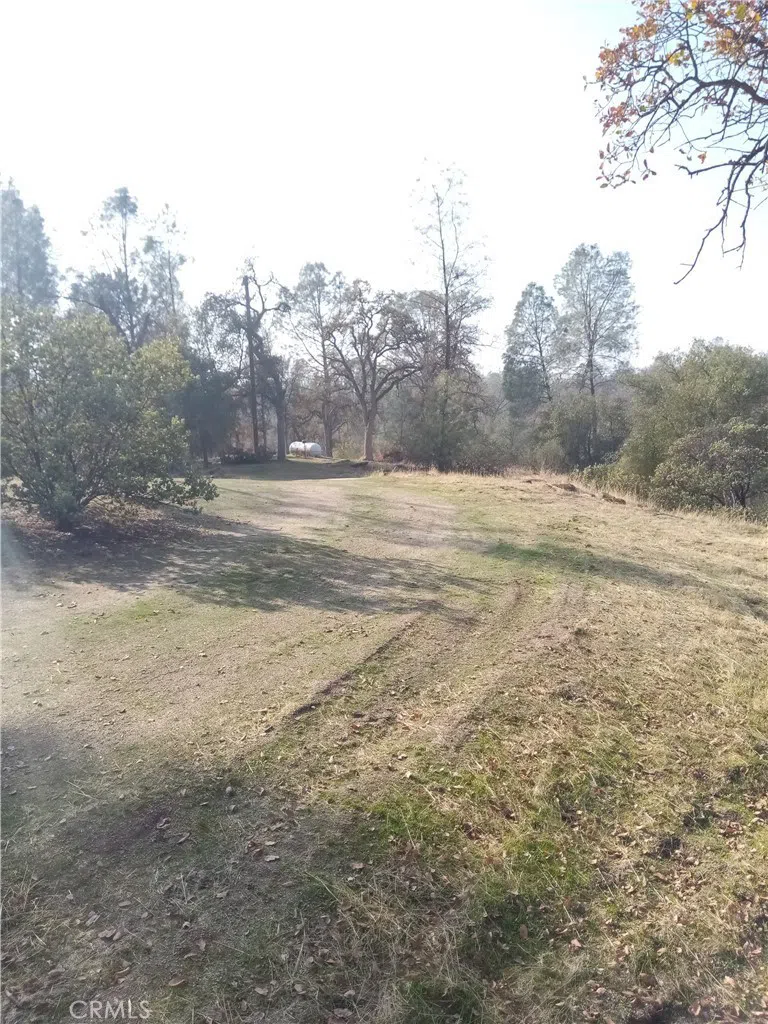 Deep Forest Drive Coarsegold, CA 93614