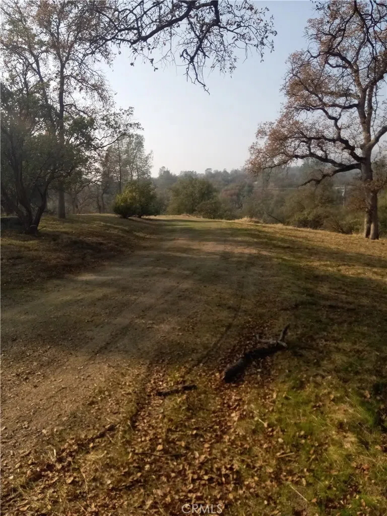 Deep Forest Drive Coarsegold, CA 93614