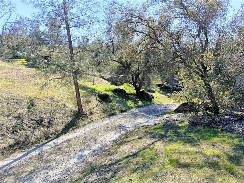 Deep Forest Drive Coarsegold, CA 93614