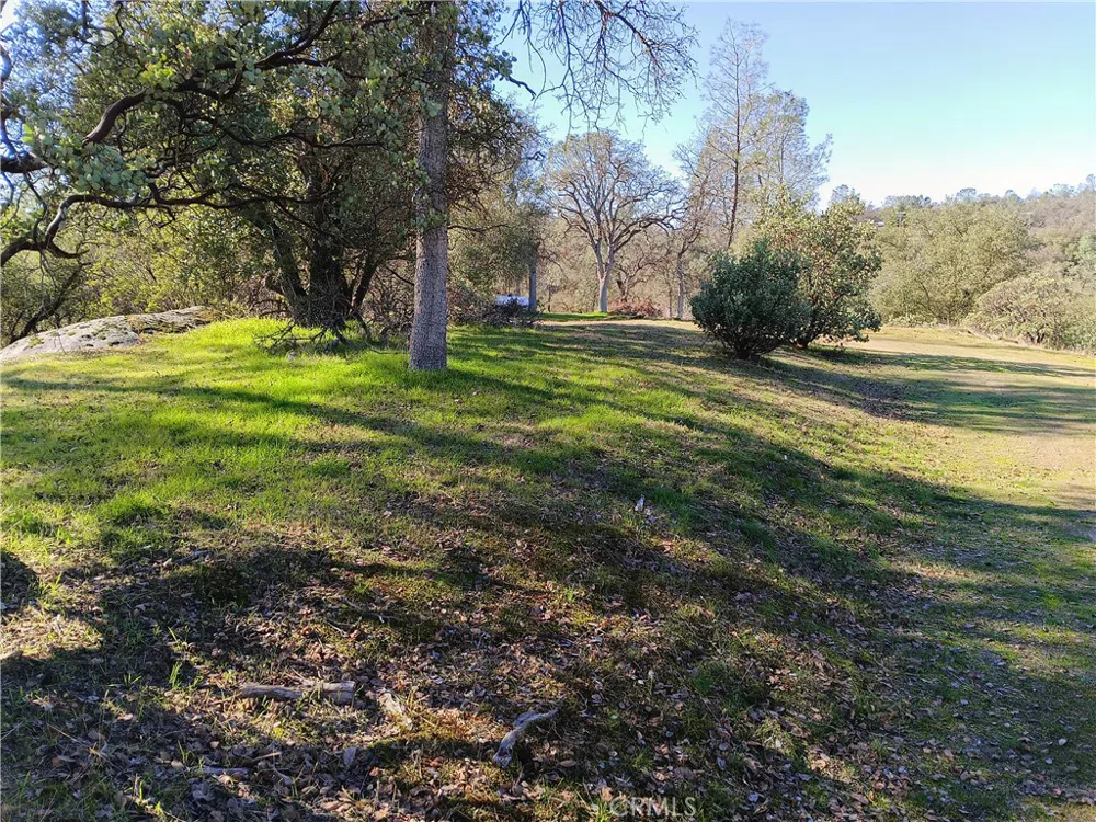 Deep Forest Drive Coarsegold, CA 93614