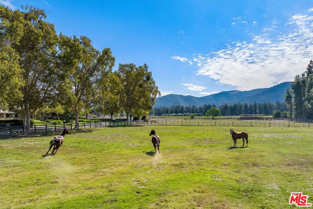 959 E Highway 246 Solvang, CA 93463