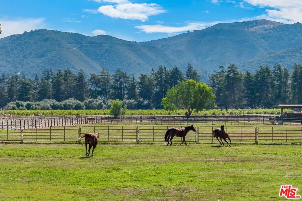 959 E Highway 246 Solvang, CA 93463