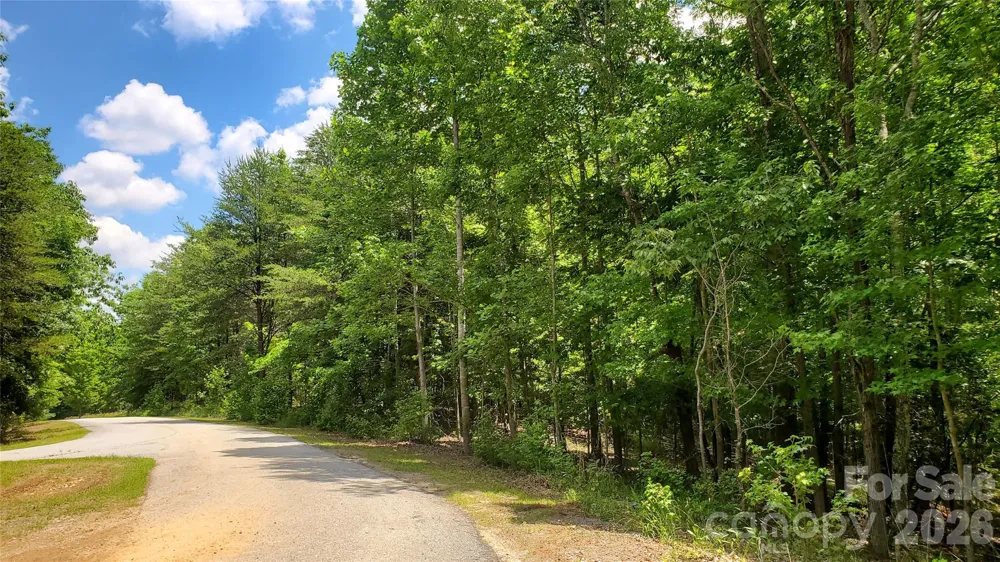 755 Hamilton Drive Columbus, NC 28722
