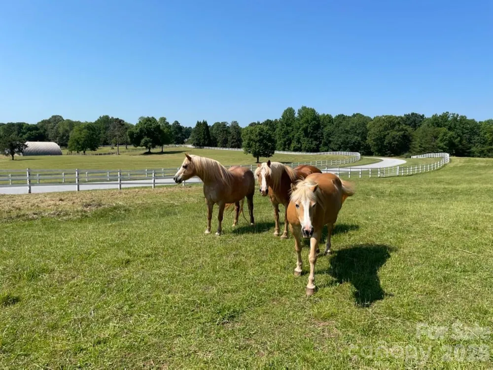 755 Hamilton Drive Columbus, NC 28722