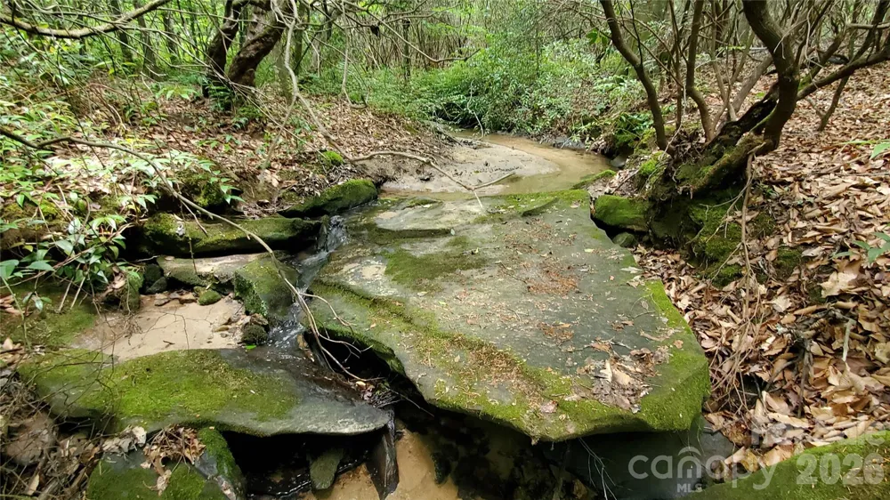 755 Hamilton Drive Columbus, NC 28722