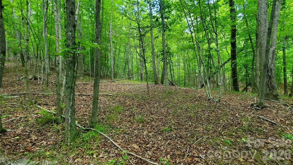 755 Hamilton Drive Columbus, NC 28722